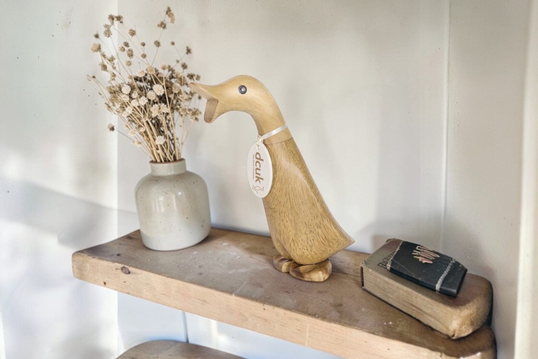 Unique Gifts for Nature Lovers in Australia (That Aren’t Another Candle)