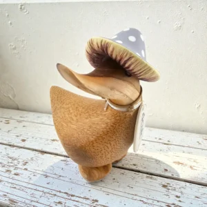 The Grey Toadstool Folk Duckling