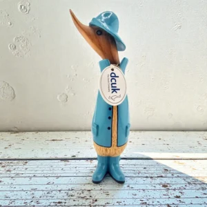 The Blue Raincoat Duckling