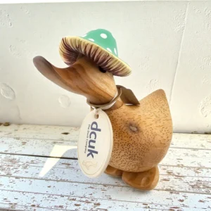 The Green Toadstool Folk Duckling