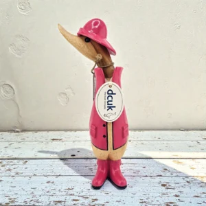 The Pink Raincoat Duckling