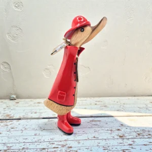 The Red Raincoat Duckling